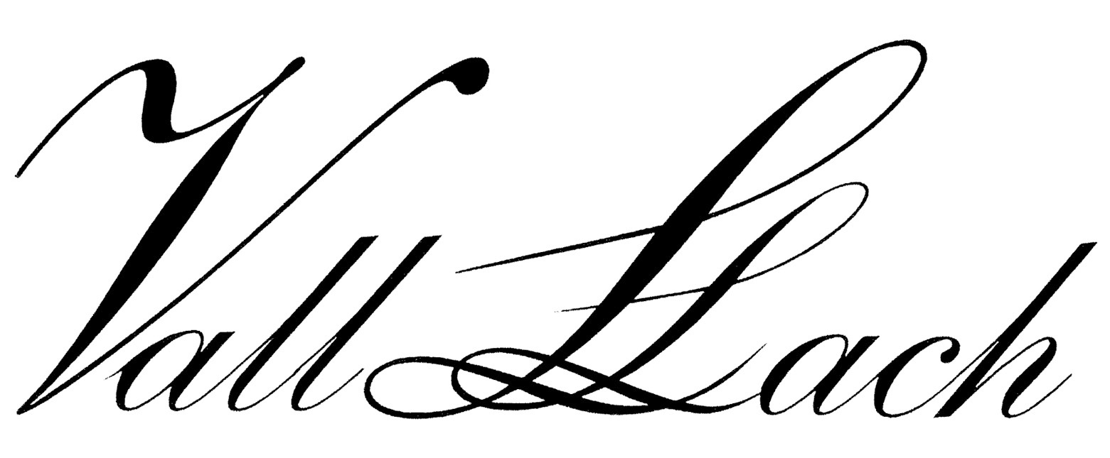 logo vallllach